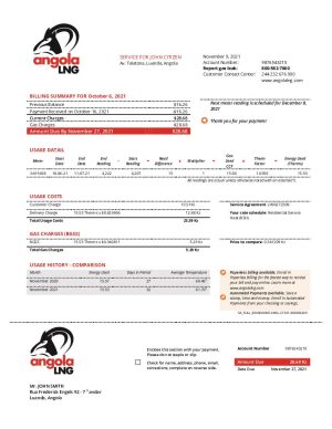 Angola LNG utility bill
