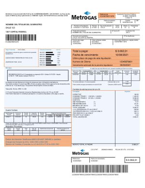 Argentina metrogas utility bill