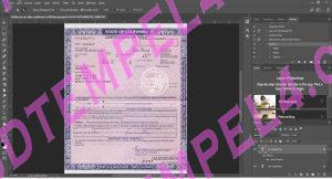 California Car Title PSD Template