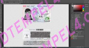 Canada Residence Permit Sample Screenshot