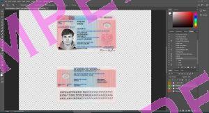 Poland Residence Permit Resident Permit Sample Screenshot