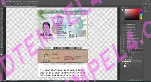 usa green card permanent resident (residence permit) - 3 Version