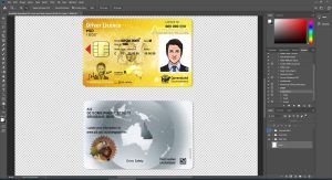 Australia Queenland Driver License V1