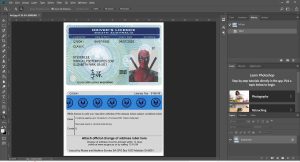 Australia South Australia Driver License