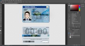 Australia Tasmania Driver License