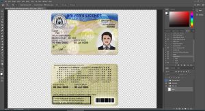 Australia western Driver License V1