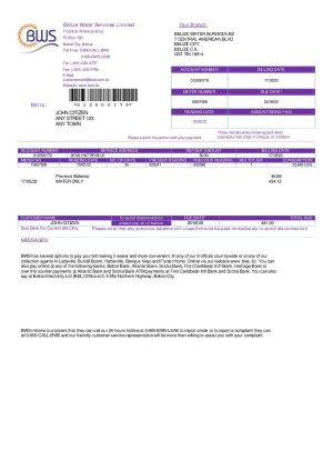 Belize Water Services Limited