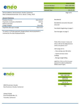 Cameroon ENEO electricity utility bill