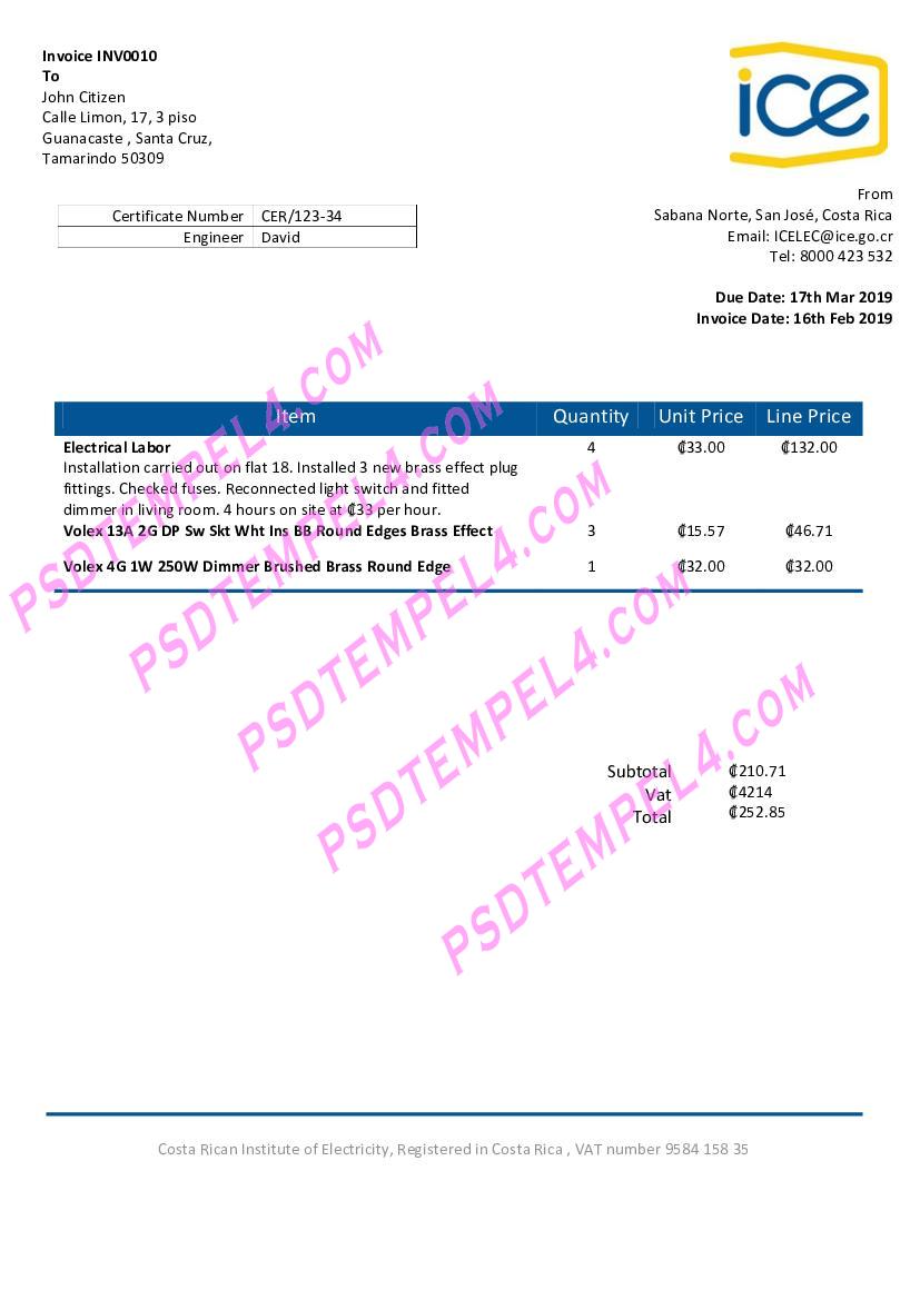Costa Rica Costa Rican Institute of Electricity utility bill
