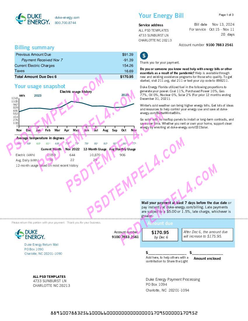 USA Florida Duke Energy utility bill 3pages