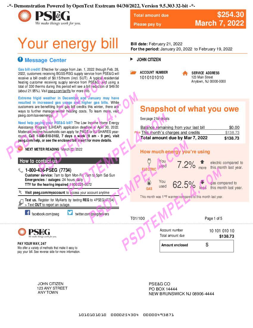01 USA New York PSEG utility billUS