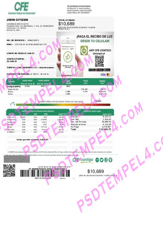 Mexico Federal Electricity Commission (CFE) utility bill 2pages