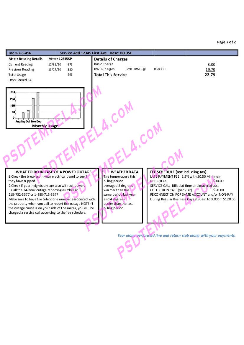 USA Minnesota Itasca-Mantrap electricity utility bill 2 pages