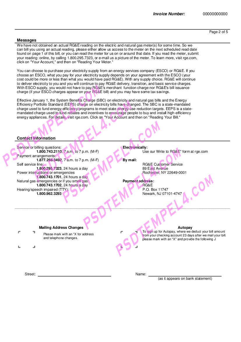 USA RG&E utility bill 5 pages