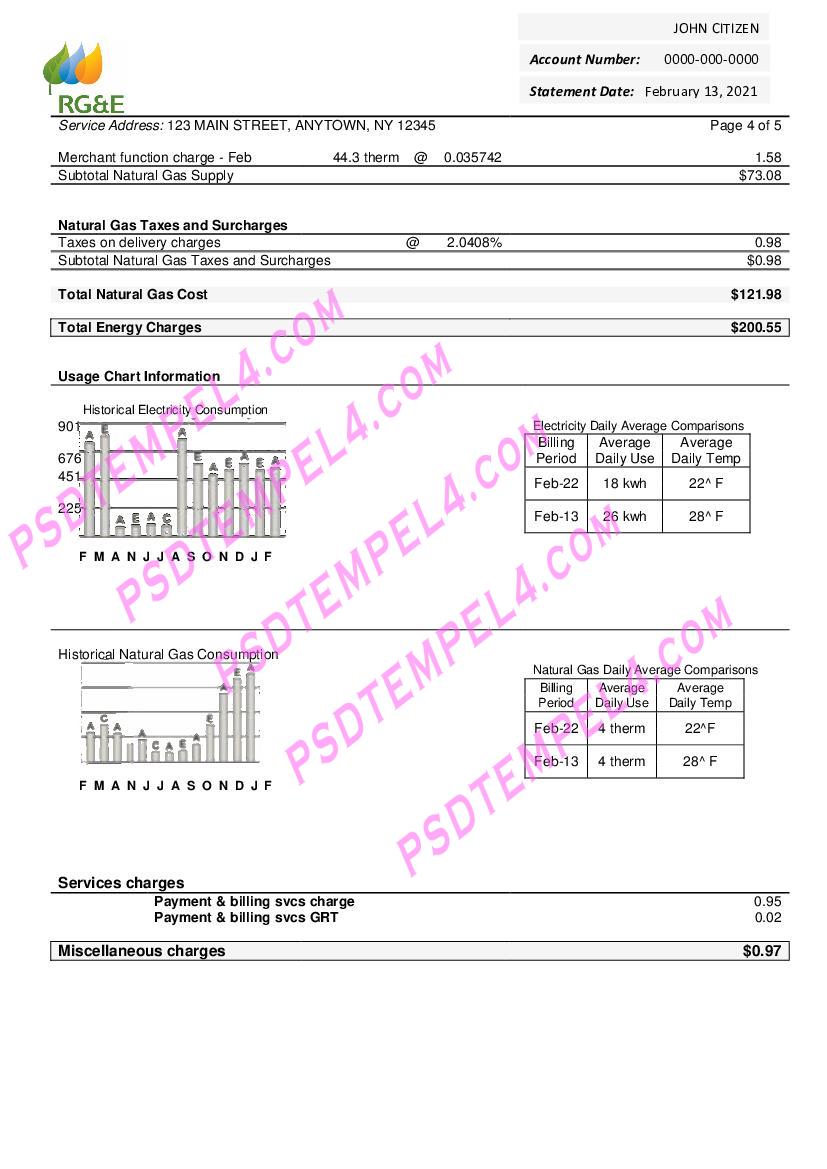 USA RG&E utility bill 5 pages