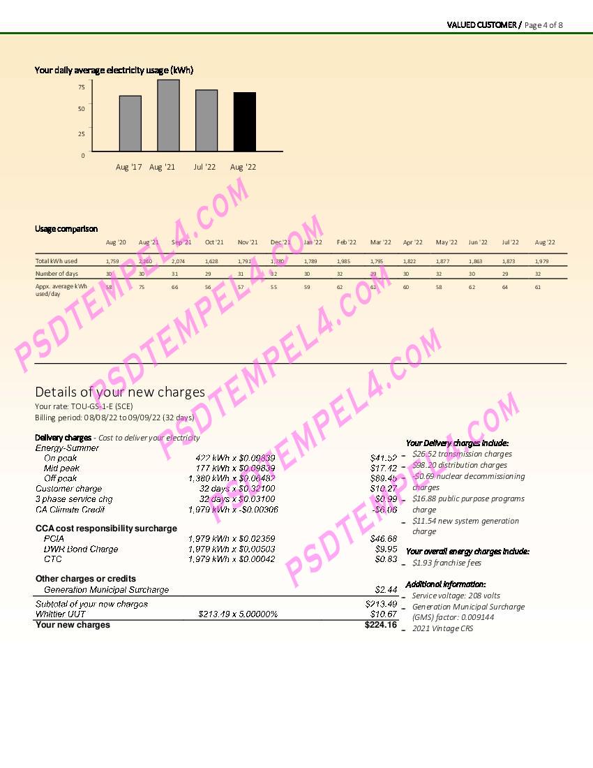 USA Southern California Edison 8 pages utility bill
