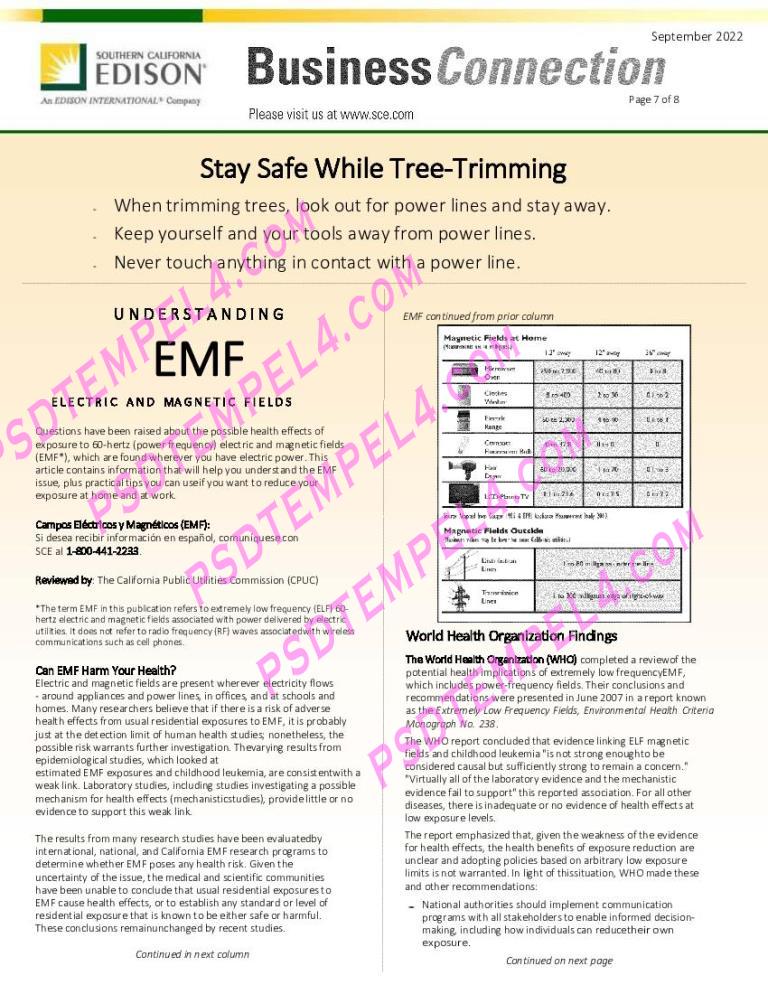 USA Southern California Edison 8 pages utility bill