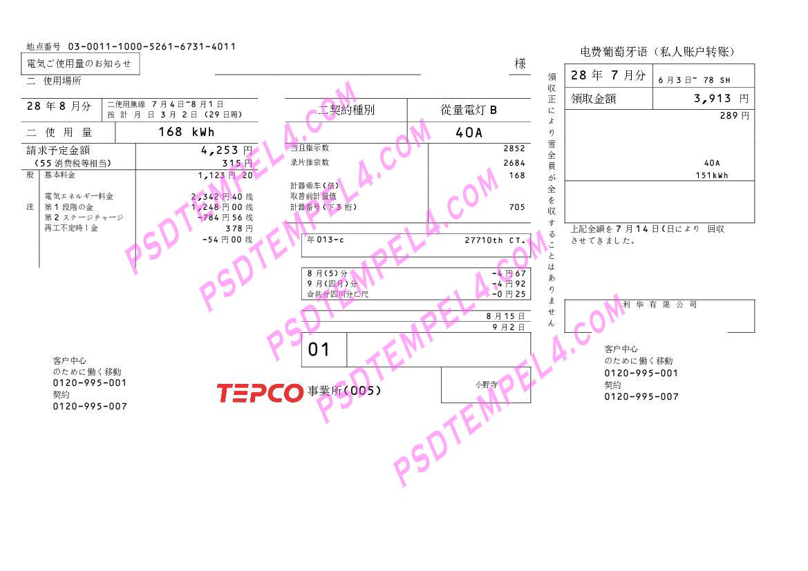 Japan TEPCO utility bill