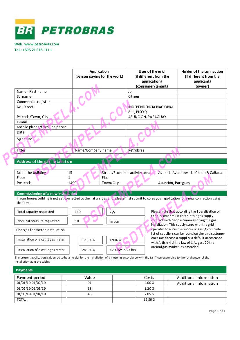 Paraguay Petrobras Paraguay Operations and Logistics gas company utility bill