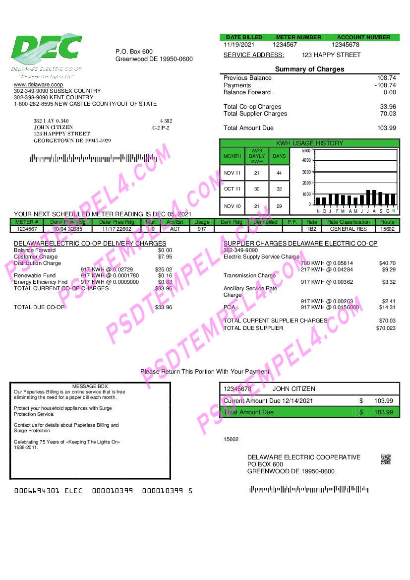 USA Delaware Electric Co-op utility bill
