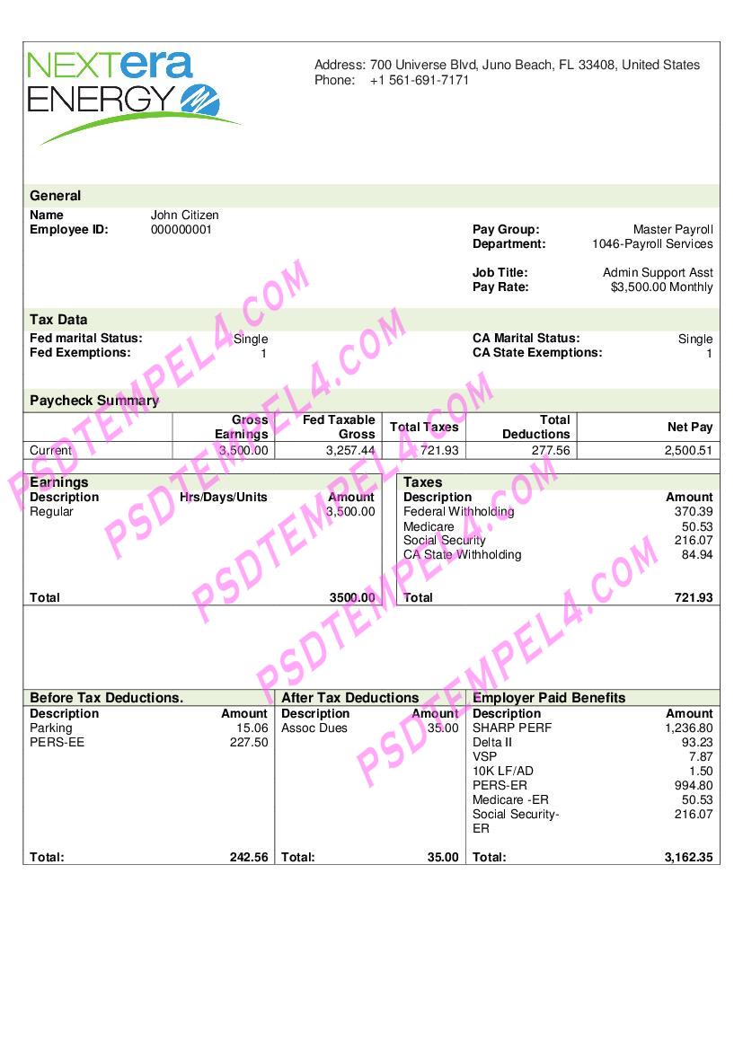 USA NextEra Energy electric company pay stub utility bill