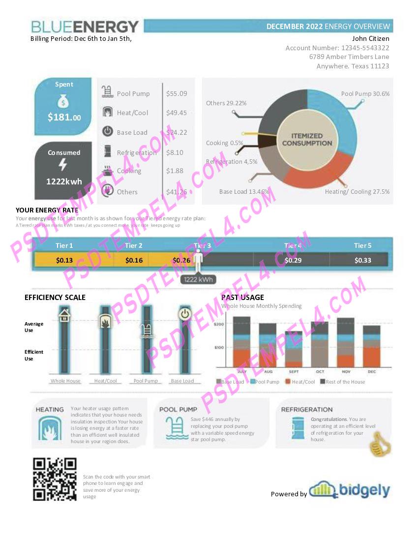 USA Texas Blue Energy utility bill