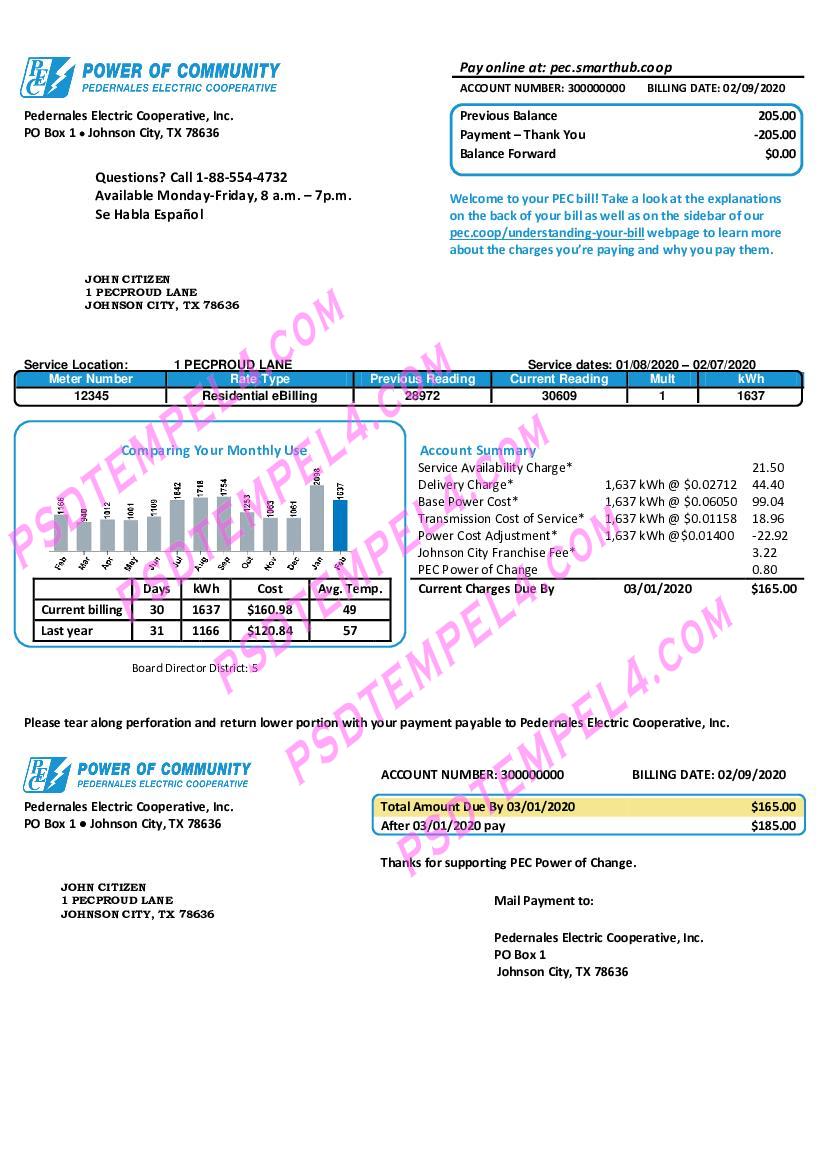 USA Texas Power of Community electricity utility bill