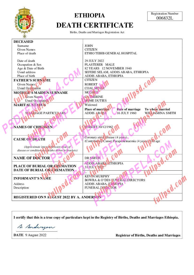 Ethiopia death certificate pdf and word