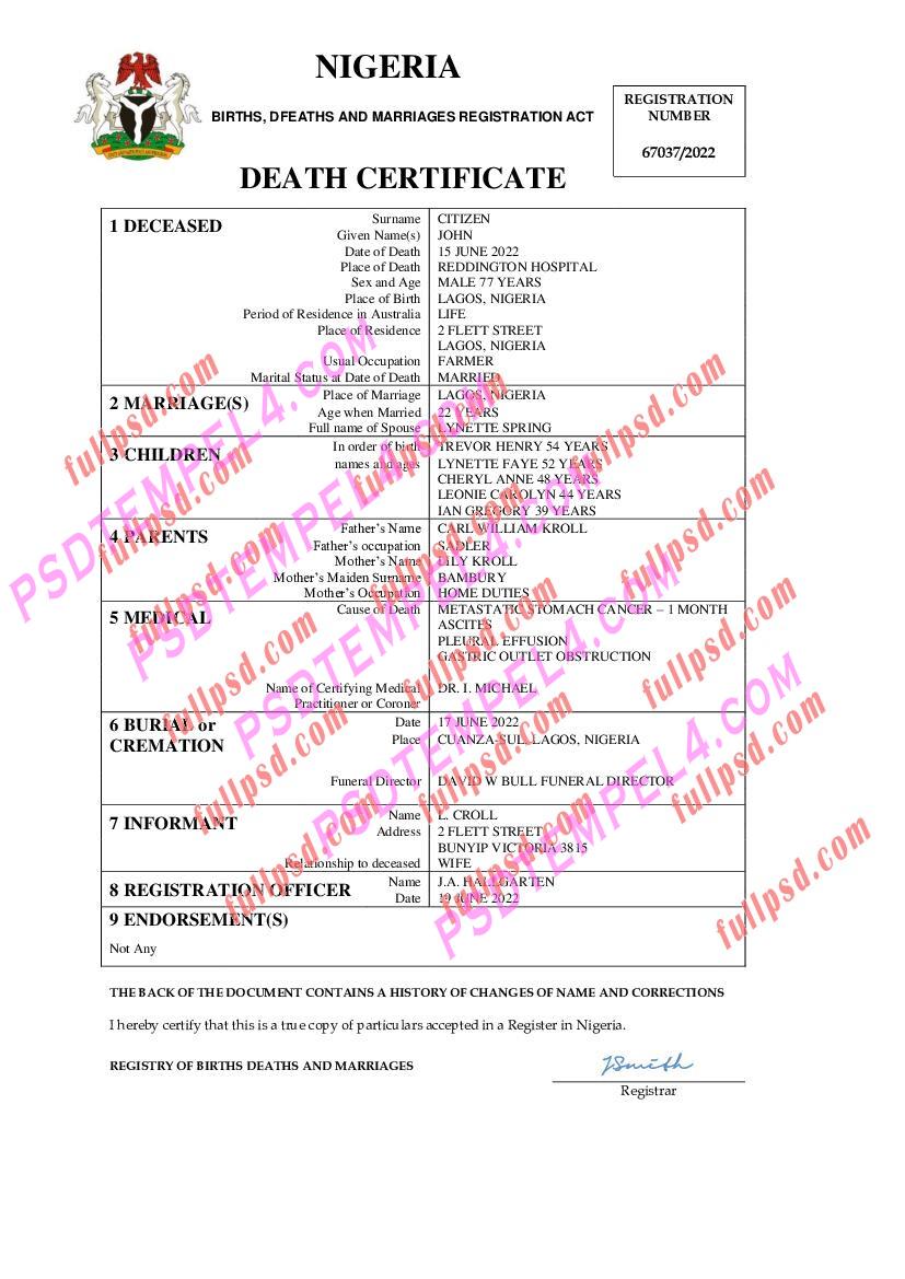 Nigeria death certificate pdf and word
