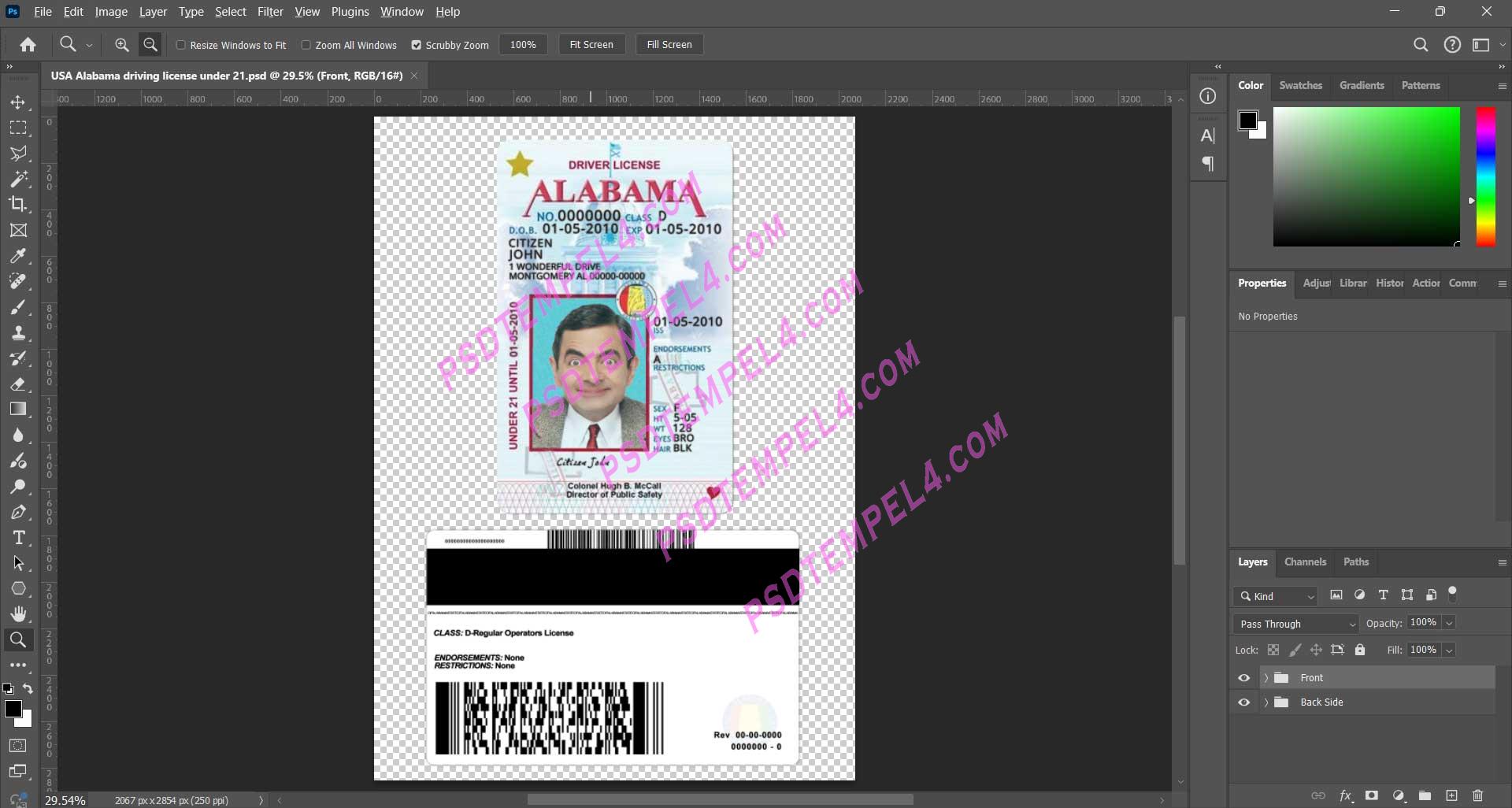 USA Alabama Driver License under 21 PSD
