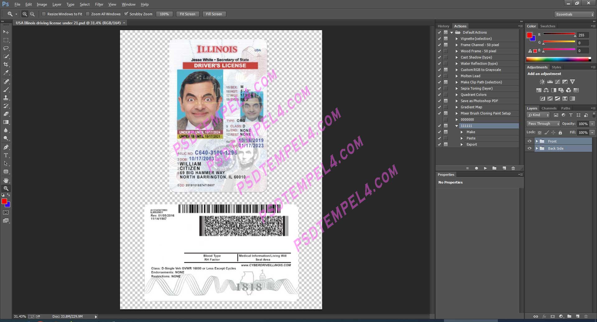 USA Illinois Driver License under 21 PSD