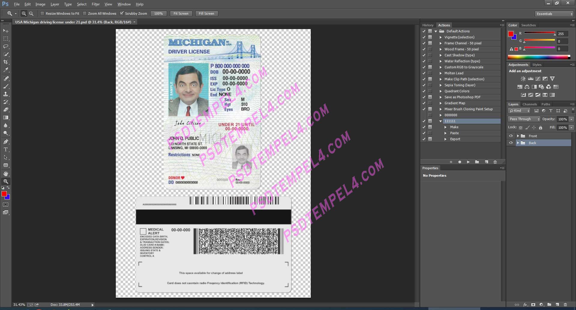USA Michigan Driver License under 21 PSD