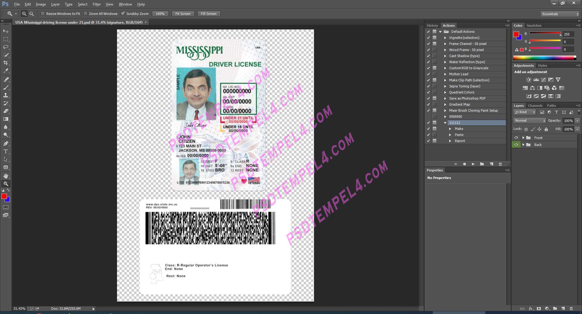 USA Mississippi Driver License under 21 PSD