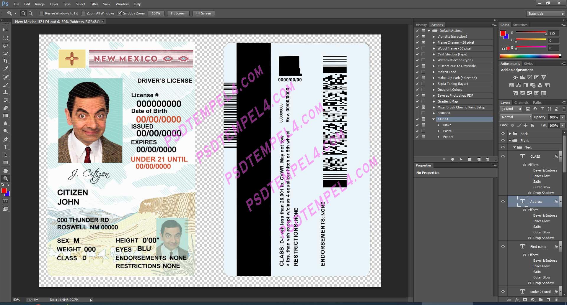 USA New Mexico Driver License under 21 PSD