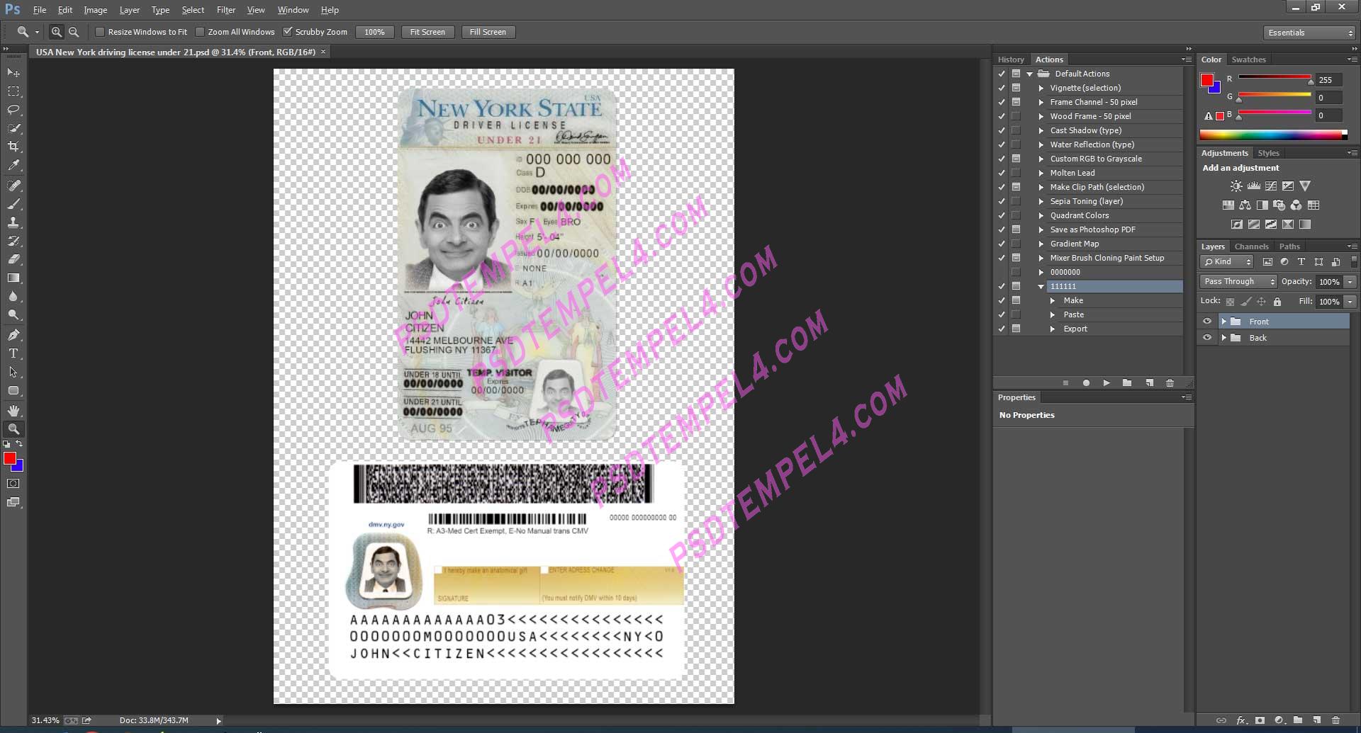 USA New York Driver License under 21 PSD V1