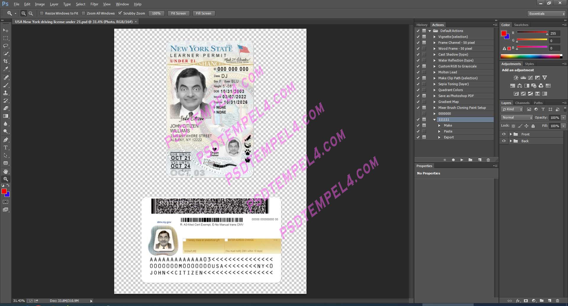 USA New York Driver License under 21 PSD V2