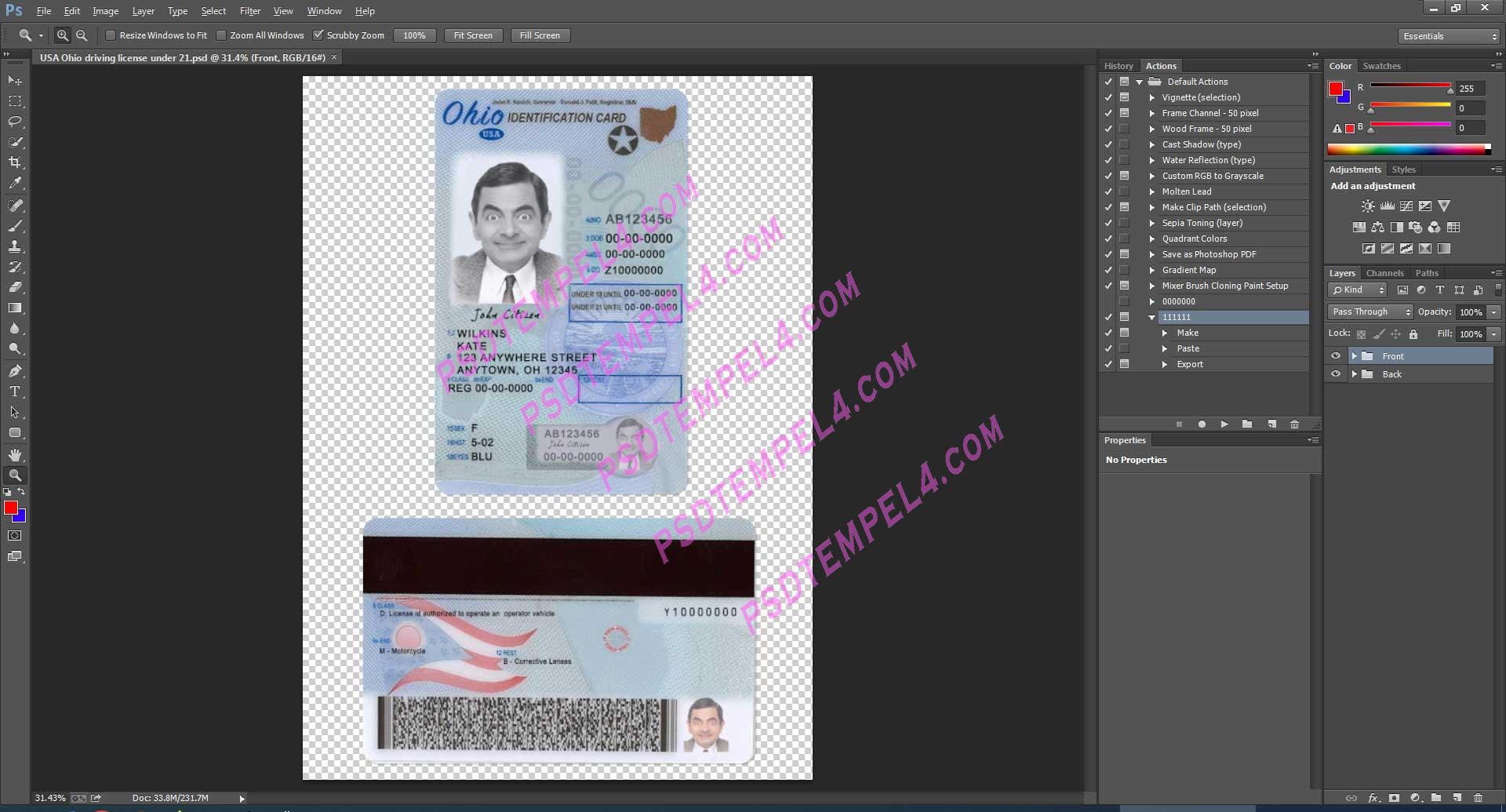 USA Ohio Driver License under 21 PSD