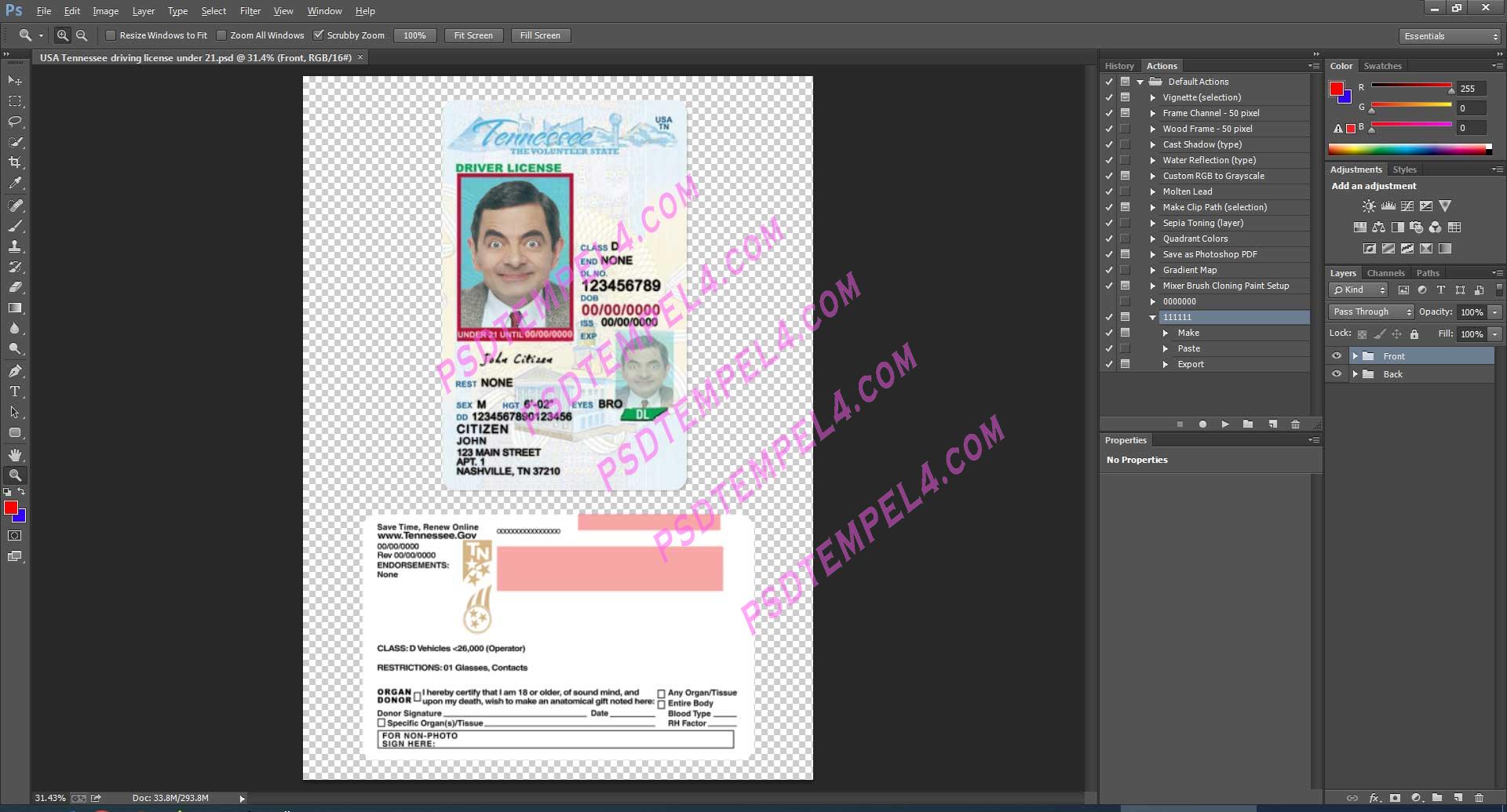 USA Tennessee Driver License under 21 PSD