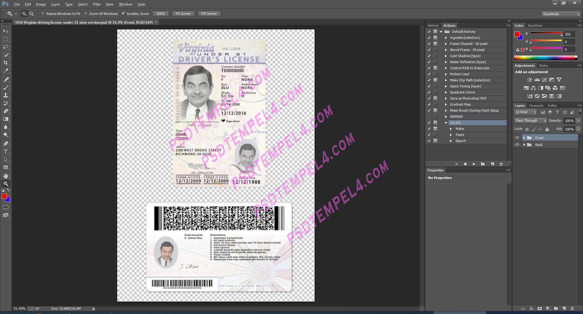 USA Virginia Driver License under 21 PSD V1