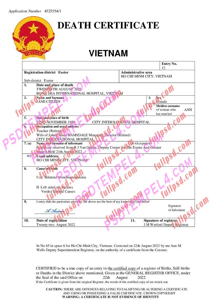 Vietnam death certificate pdf and word